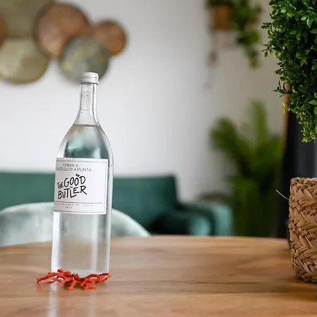 Vacations - Terrasse, Piscine, Jacuzzi, Clim - By Tgb Appartement *